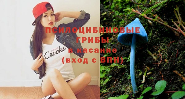 амф Алексеевка
